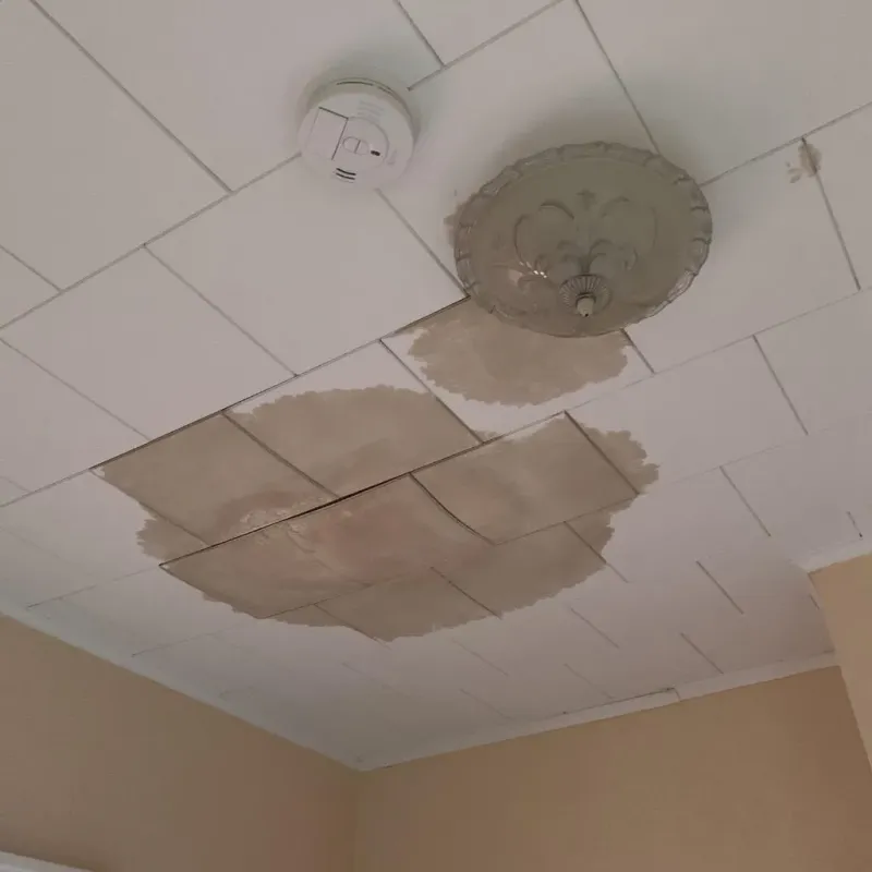 Ceiling Water Damage Repair in De Soto, KS