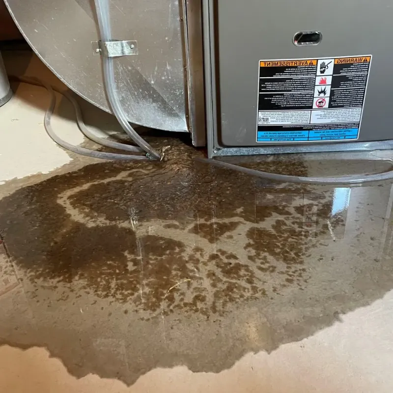 Pipe Burst and Leak Restoration in De Soto, KS