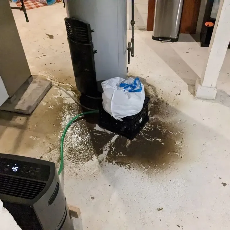 Sewage Backup Cleanup Service in De Soto, KS
